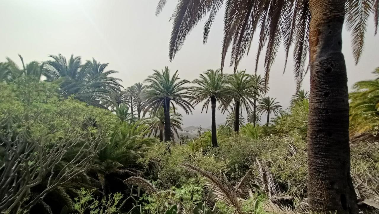 Alquilaencanarias Casa La Playa La Gomera Alojera ภายนอก รูปภาพ
