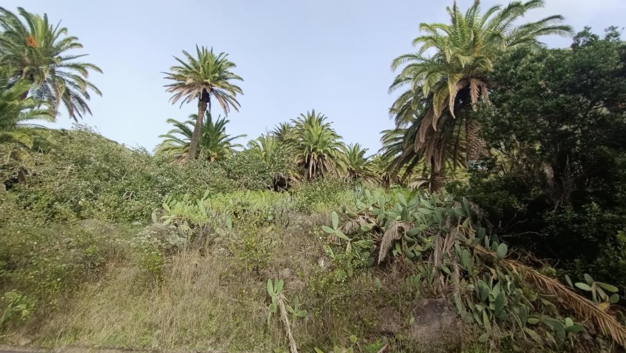 Alquilaencanarias Casa La Playa La Gomera Alojera ภายนอก รูปภาพ